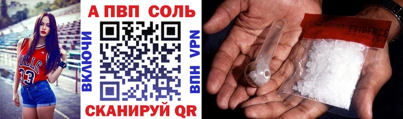 Альфа ПВП СК  Будённовск 