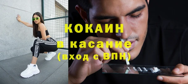 прущие грибы Беломорск