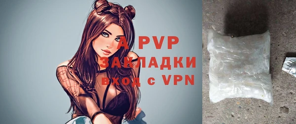 прущие грибы Беломорск