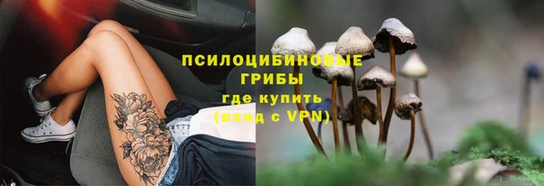 PSILOCYBIN Белокуриха