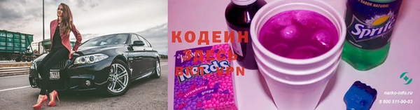 прущие грибы Беломорск