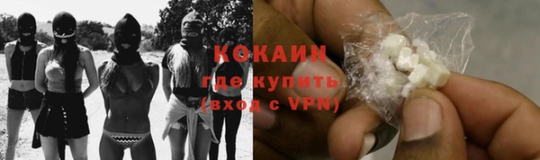 прущие грибы Беломорск