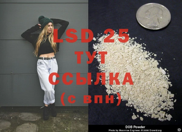 PSILOCYBIN Белокуриха