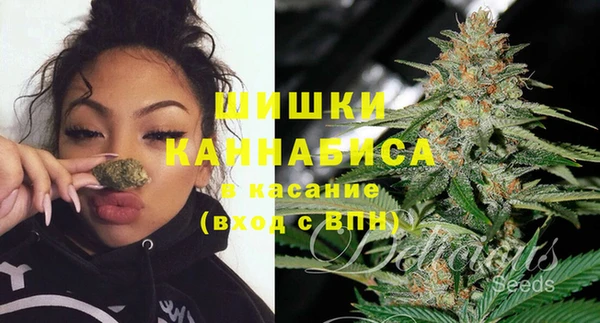 прущие грибы Беломорск