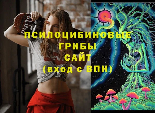 амф Белоозёрский