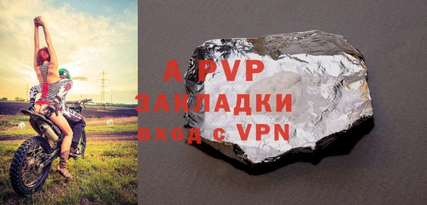 PSILOCYBIN Белокуриха