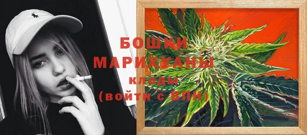 PSILOCYBIN Белокуриха