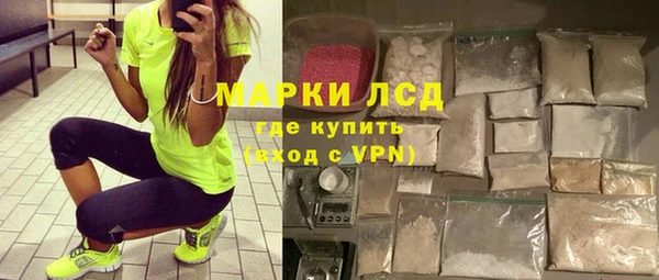 прущие грибы Беломорск