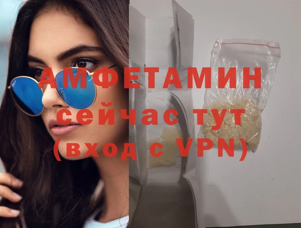 прущие грибы Беломорск