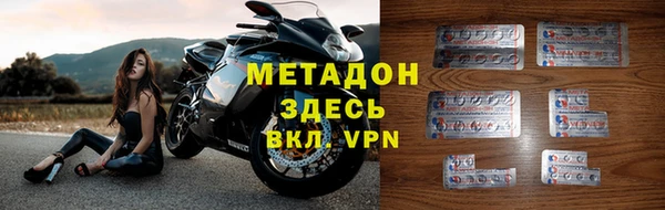 прущие грибы Беломорск