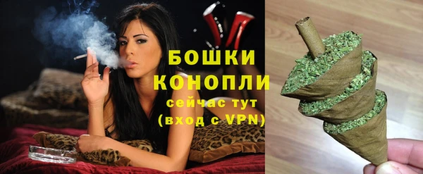 PSILOCYBIN Белокуриха